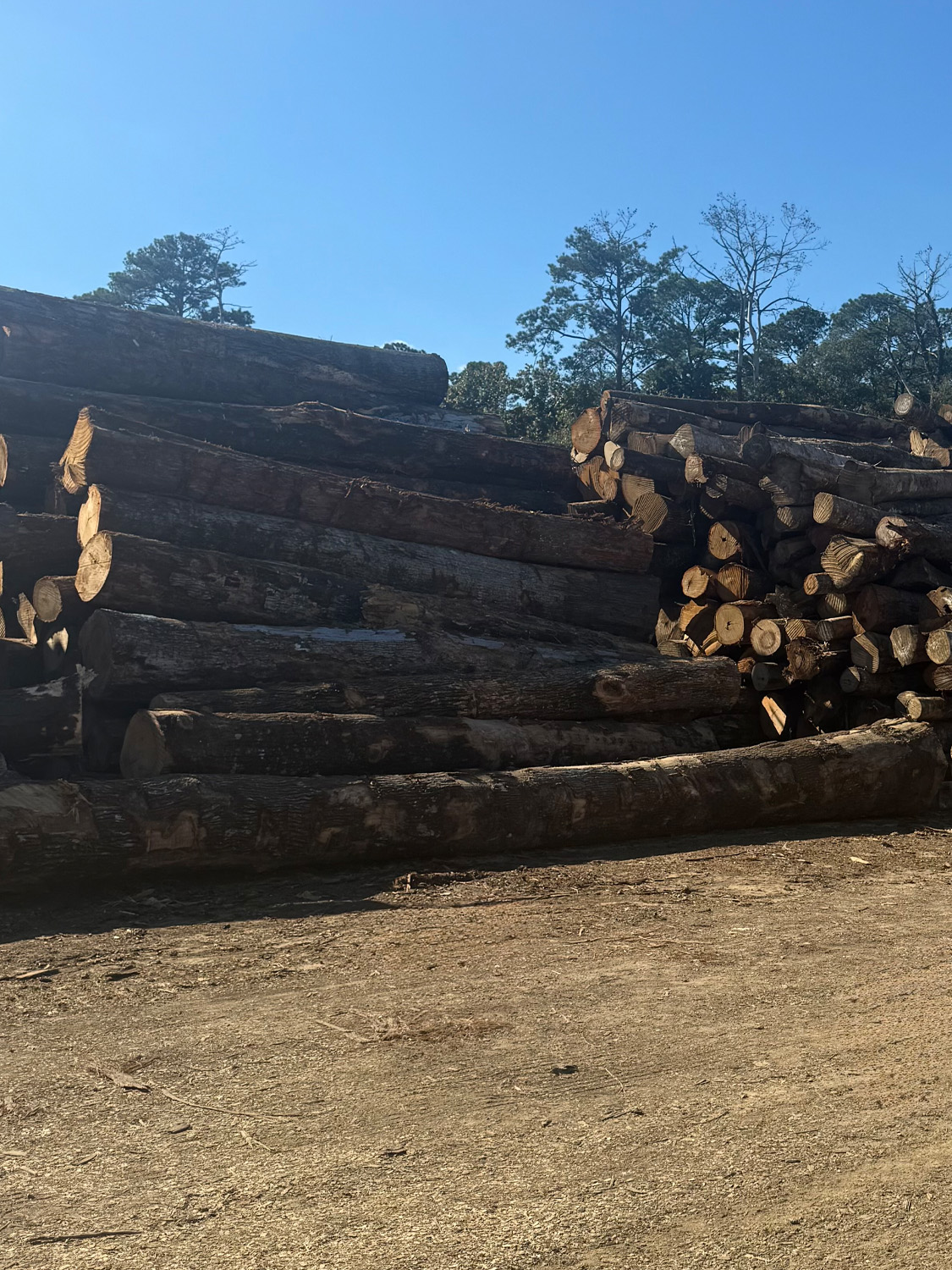 Hardwood lumber & mat supplier Louisiana - Jackson Hardwood Mill